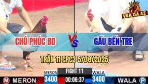 Trận 11 CPC3 5/8/2025 - Chú Phúc Bị Gạt Giò Trong Trận Ra Quân