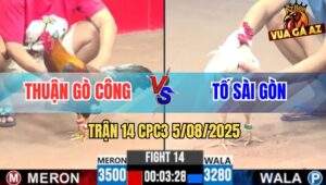 Trận 14 CPC3 5/8/2025 - Anh Thuận Gò Công Và Anh Tố Sài Gòn