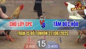 Trận 15 Bồ TonHon 27/8/2025 - Chú Lũy CamPuchia Và Anh Tâm Đức Hòa