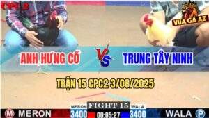Trận 15 CPC2 3/8/2025 - Anh Hưng Cồ Đụng Anh Trung Tây Ninh