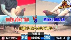 Trận 15 CPC3 4/8/2025 - Điều Cọp Má Minh Dỡ Giò Và Có Kết Quả