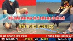 Trận 16 CPC5 21/8/2025 - Điều Xanh Có Chân Xạo Lờ Đảo Ngược Tình Thế