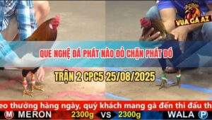 Trận 2 CPC5 25/8/2025 - Đỏ Canh Chặn Chính Xác Đâm Que Nghệ Bại Liệt