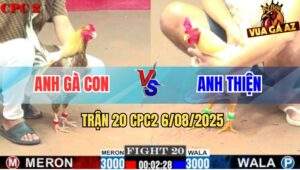 Trận 20 CPC2 6/8/2025 - Úa Cọp Anh Thiện Hạ Sát Xám Son Chỉ 1 Tay Nước