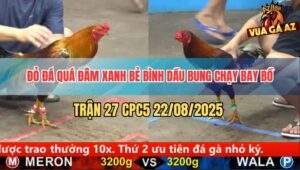 Trận 27 CPC5 22/8/2025 - Điều Đỏ Đâm Bể Bình Dầu Khiến Gà Xanh Bay Bồ