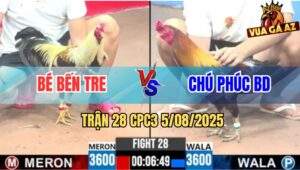 Trận 28 CPC3 5/8/2025 - Anh Bé Bến Tre Đụng Độ Chú Phúc Bình Dương