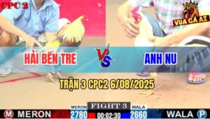 Trận 3 CPC2 6/8/2025 - Gà Bướm Anh Nu Đâm Cây Hiểm Chuối Bung Chạy