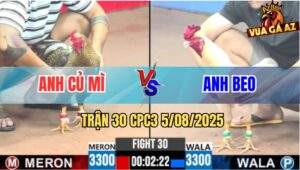 Trận 30 CPC3 5/8/2025 - Anh Beo Thắng 3 Độ Liên Tiếp Nhận Thưởng 2000$