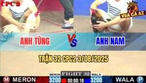 Trận 32 CPC2 3/8/2025 - Úa Anh Tùng Đâm Cựa Quá Bén, Đá Điều Chết Tới