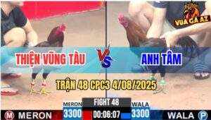 Trận 48 CPC3 4/8/2025 - Anh Thiện Vũng Tàu Và Anh Tâm
