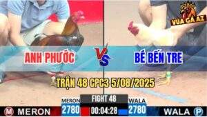 Trận 48 CPC3 5/8/2025 - Úa Hiệu Anh Bé Đâm Gà Điều Không Kịp Gỡ Cựa