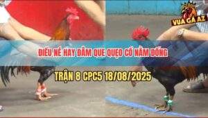 Trận 8 CPC5 18/8/2025 - Gà Điều Né Hay Đâm Tịch Khiến Đối Thủ Quẹo Cổ