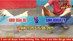 Trận 11 CPC5 Ngày 15/08/2025