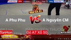 Trận 12 Tonhon 13_08_2025 - Phu Phu Được Chấp Sâu Có Trận Thắng Dễ Dàng