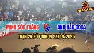 Trận 28 Bồ TonHon 27/09/2025 - Anh Bảo Sting Gặp Anh Hắc Là Tắt Điện