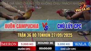 Trận 36 Bồ TonHon 27/09/2025 - Chung Kết Giữa Anh Đuôn Và Chú Lũy