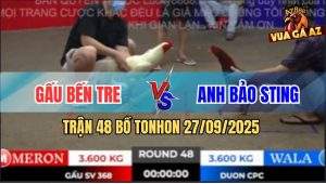 Trận 48 Bồ TonHon 27/09/2025 - Anh Bảo Sting Và Anh Gấu Bến Tre