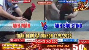 Trận 14 Bồ Tonhon 12/9/2025