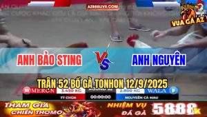 Trận 52 Bồ Tonhon 12/9/2025