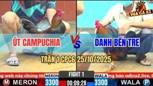 Trận 1 CPC6 26/10/2025 - Gà Vàng Bị Phá Đôi Hết Thấy Đường Về