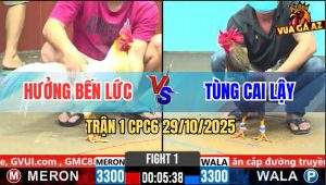 Trận 1 CPC6 29/10/2025 - Úa Đá Như Sấm Xét Xám Đút Vô Không Đường Về