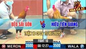 Trận 10 CPC6 11/10/2025 - Gà Xám Tang Nặng Vẫn Gồng Mình Cứu Chủ