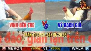 Trận 11 CPC5 24/10/2025 - Anh Vinh Bến Tre Và Anh Vỹ Rạch Giá