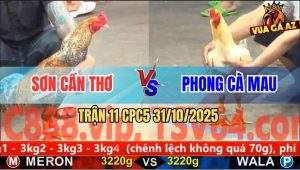 Trận 11 CPC5 31/10/2025 - Anh Sơn Cần Thơ Và Anh Phong Cà Mau