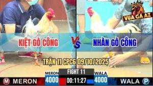 Trận 11 CPC6 9/10/2025 - Anh Kiệt Gò Công Đụng Độ Anh Nhàn Gò Công