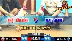 Trận 11 CPC6 11/10/2025 - Gà Úa Anh Nhật Tân Bình Đá Toàn Đâm Mu Lưng