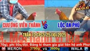 Trận 12 CPC5 25/10/2025 - Anh Cường Diễn Thành Và Anh Lộc An Phú