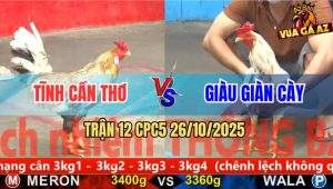 Trận 12 CPC5 26/10/2025 - Anh Tĩnh Cần Thơ Và Anh Giàu Giàn Cày