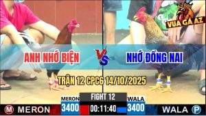 Trận 12 CPC6 14/10/2025 - Cú Kêu Điều Đáp, Cú Chạy Bay Bồ