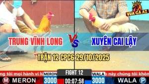 Trận 12 CPC6 29/10/2025 - Khét Vàng Canh Chặn Chân Úa Mất Cái Giò