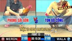 Trận 13 CPC6 9/10/2025 - Anh Phong Và Anh Ton, Bất Phân Thắng Bại