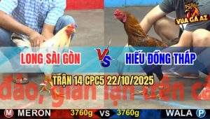 Trận 14 CPC5 22/10/2025 - Anh Long Sài Gòn Và Anh Hiếu Đồng Tháp