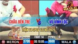 Trận 14 CPC6 13/10/2025 - Điều Anh Vũ Đâm Gà Anh Châu Té Lên Té Xuống