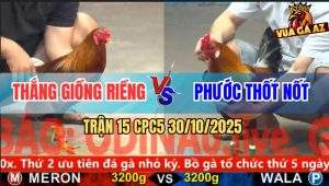 Trận 15 CPC5 30/10/2025 - Anh Thắng Giồng Riềng Và Anh Phước Thốt Nốt