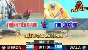 Trận 15 CPC6 9/10/2025 - 1 Chân Xạo Lờ Tiễn Khét Sữa Anh Ton Lên Đường