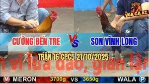 Trận 16 CPC5 21/10/2025 - Anh Cương Bến Tre Và Anh Sơn Vĩnh Long
