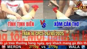Trận 16 CPC5 26/10/2025 - Anh Tính Tịnh Biên Và Anh Xóm Cần Thơ