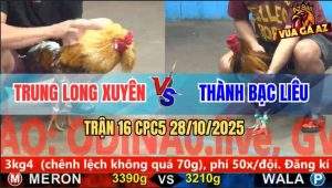 Trận 16 CPC5 28/10/2025 - Anh Trung Long Xuyên Và Anh Thành Bạc Liêu
