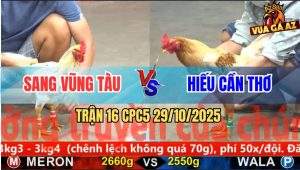 Trận 16 CPC5 29/10/2025 - Anh Sang Vũng Tàu Và Anh Hiều Cần Thơ