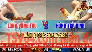 Trận 16 CPC5 30/10/2025 - Anh Long Vũng Tàu Và Anh Hùng Trà Vinh