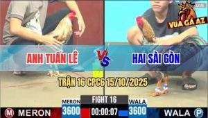 Trận 16 CPC6 15/10/2025 - Gà Cú Anh Tuấn Lê Xin Đối Thủ Cái Giò
