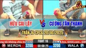 Trận 16 CPC6 20/10/2025 - Cú Lửa Mạnh Mạng Về Phút Cuối Quá Đẹp