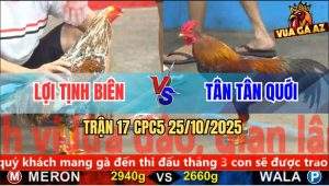 Trận 17 CPC5 25/10/2025 - Anh Lợi Tịnh Biên Và Anh Tân Tân Quới