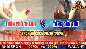 Trận 18 CPC5 26/10/2025 - Anh Tuấn Phú Thanh Và Anh Tùng Cần Thơ