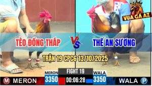 Trận 19 CPC6 13/10/2025 - Điều Đỏ Anh Tèo Múa Túy Quyền Hạ Điều Xanh