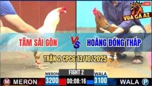 Trận 2 CPC6 13/10/2025 - Gà Cú Quá Trâu Gà Úa Anh Tâm Đâm Không Thấm